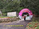 IMG_7269.JPG