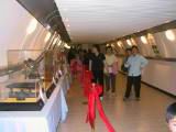 IMG_7272.JPG