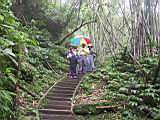IMG_7295.JPG