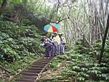 IMG_7296.JPG