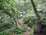 IMG_7297.JPG