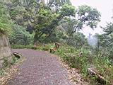 IMG_7299.JPG