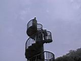 IMG_7303.JPG