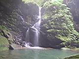IMG_7317.JPG