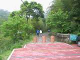 IMG_7332.JPG