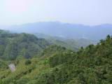 IMG_7347.JPG