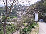 IMG_7348.JPG