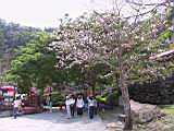 IMG_7350.JPG