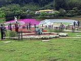 IMG_7380.JPG