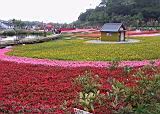 IMG_7381.JPG