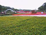 IMG_7382.JPG