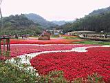 IMG_7392.JPG