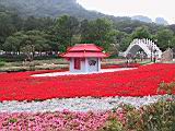 IMG_7393.JPG