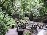 IMG_7468.JPG