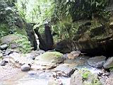 IMG_7470.JPG