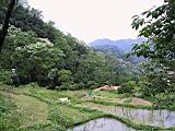 IMG_7495.JPG