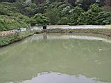 IMG_7498.JPG