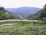 IMG_7499.JPG