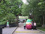 IMG_7505.JPG