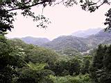 IMG_7506.JPG