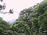 IMG_7509.JPG