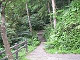 IMG_7511.JPG