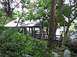 IMG_7515.JPG