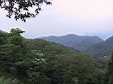 IMG_7526.JPG
