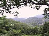 IMG_7529.JPG