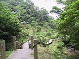 IMG_7534.JPG