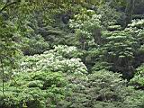 IMG_7536.JPG