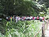 IMG_7566.JPG