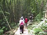 IMG_7568.JPG