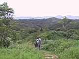 IMG_7598.JPG