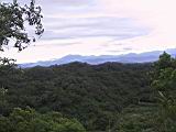 IMG_7599.JPG