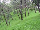 IMG_7620.JPG
