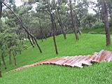 IMG_7621.JPG