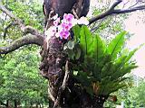 IMG_7623.JPG