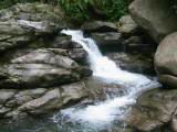 IMG_7678.JPG
