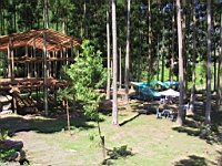 IMG_7761.JPG