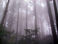 IMG_7768.JPG
