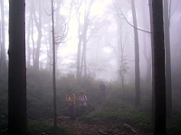 IMG_7771.JPG