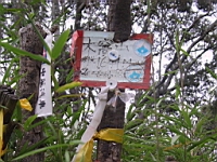 IMG_7775.JPG