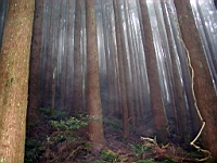 IMG_7776.JPG