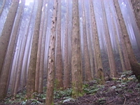 IMG_7783.JPG