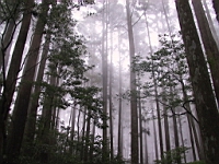 IMG_7790.JPG