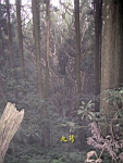 IMG_7793.JPG