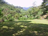 IMG_7797.JPG