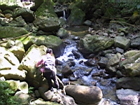 IMG_7798.JPG