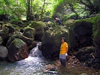 IMG_7799.JPG